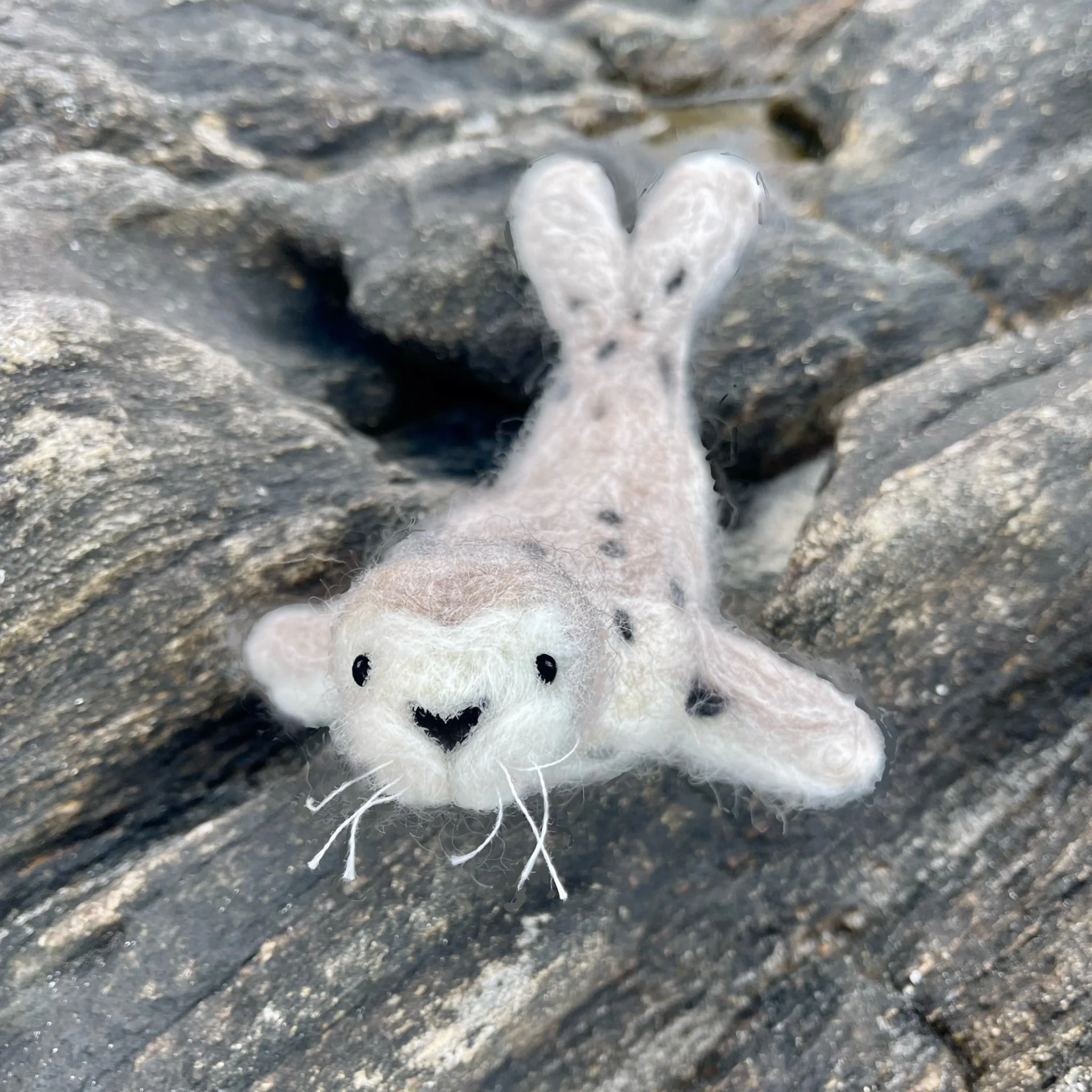 Harbor Seal Needlefelt Kit — Heidi Boyd
